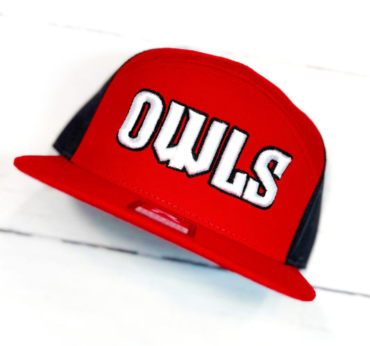 Owl Puff Embroidery Hat